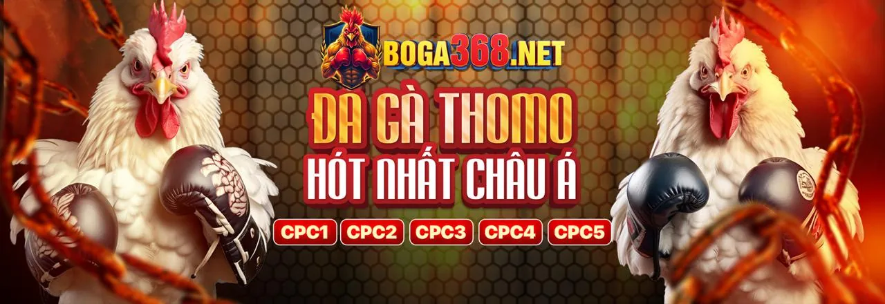 Hướng dẫn nhận khuyến mãi Daga88 Link