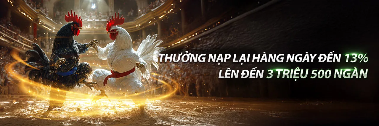 Tổng quan về nền tảng giải trí trực tuyến Daga88 Link